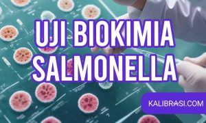 uji biokimia salmonella