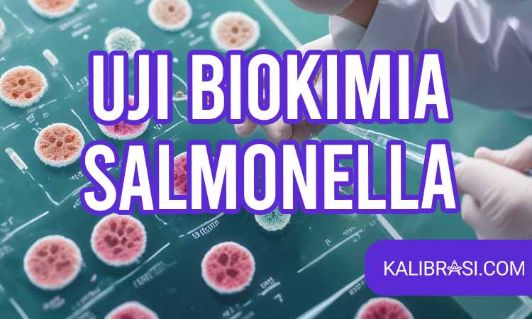 uji biokimia salmonella