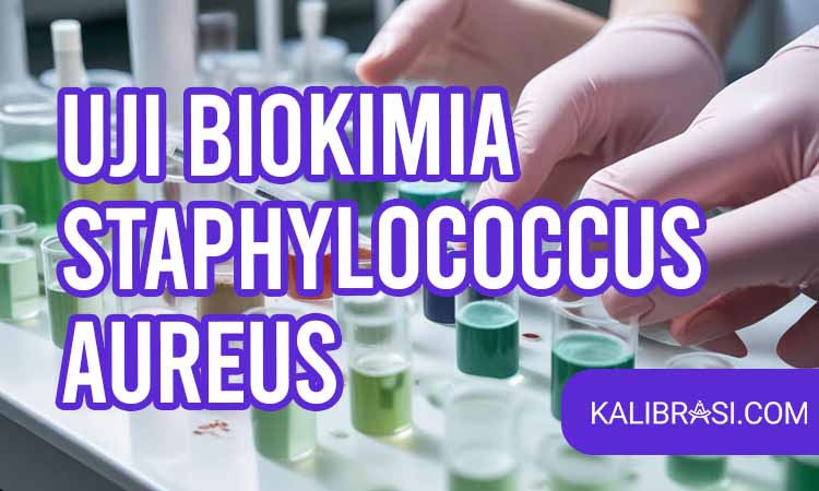 uji biokimia staphylococcus aureus