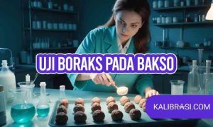 uji boraks pada bakso