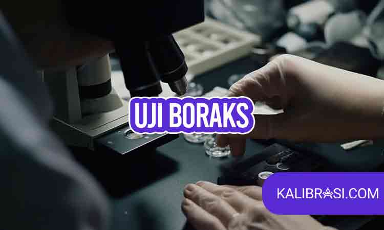 uji boraks