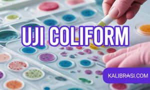 uji coliform