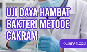 uji daya hambat bakteri metode cakram