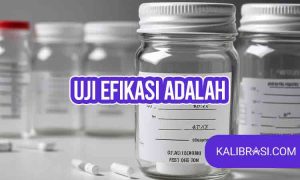 Uji efikasi