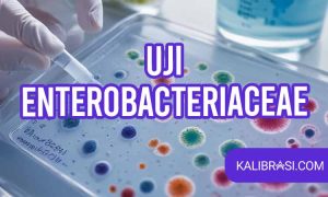 uji enterobacteriaceae
