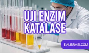 uji enzim katalase