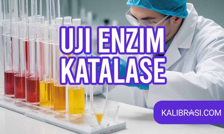 uji enzim katalase