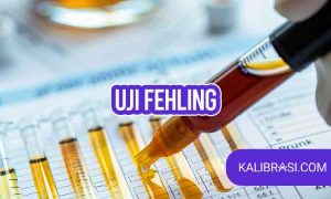 uji fehling