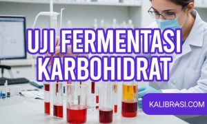 uji Fermentasi karbohidrat