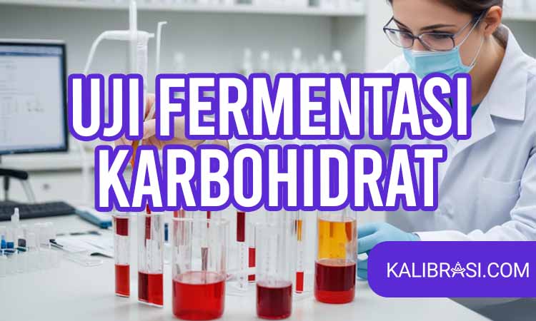 uji Fermentasi karbohidrat