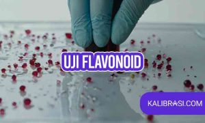 uji flavonoid