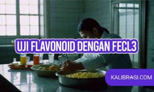 Uji flavonoid dengan fecl3