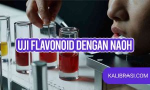 uji flavonoid dengan NaOh