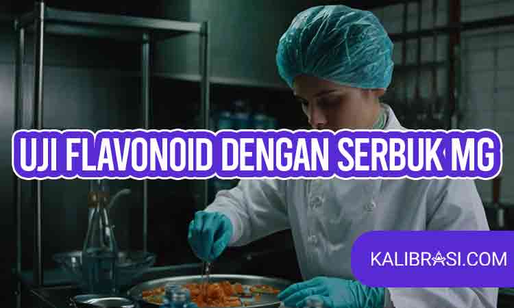 Uji flavonoid dengan serbuk mg