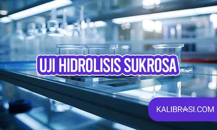 uji hidrolisis sukrosa