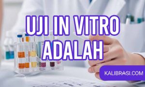 Uji in vitro
