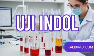 uji indol