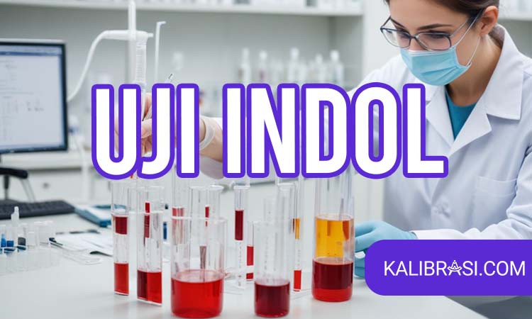 uji indol