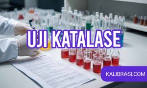 Uji Katalase
