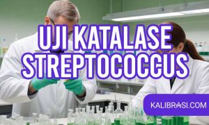 uji katalase streptococcus