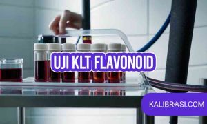 uji KLT flavonoid