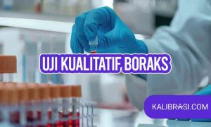 uji kualitatif boraks