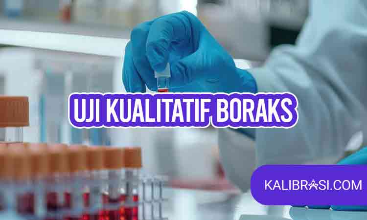uji kualitatif boraks