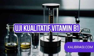 Uji Kualitatif Vitamin B1