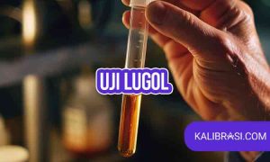 uji lugol