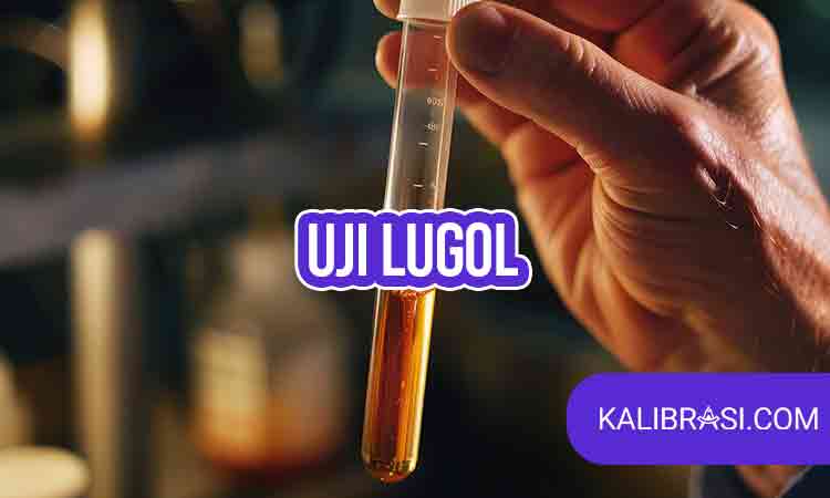 uji lugol