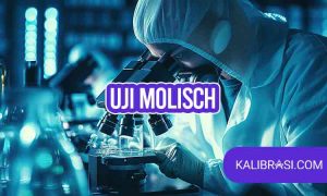uji molisch