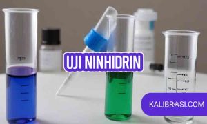 Uji Ninhidrin
