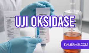 uji oksidase