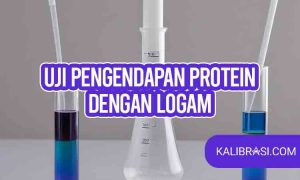 Uji Pengendapan Protein dengan logam