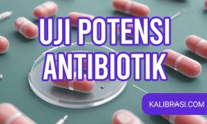 uji potensi antibiotik