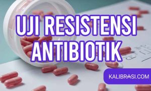 uji resistensi antibiotik