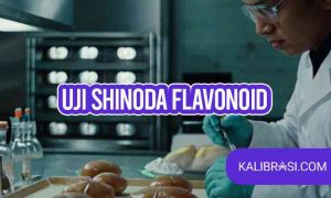 uji shinoda flavonoid