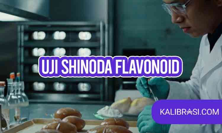 uji shinoda flavonoid