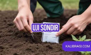 uji sondir