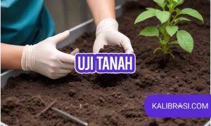 uji tanah