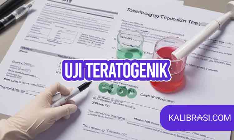 Uji Teratogenik : Tujuan, Keuntungan, Dan Perannya Dalam Dunia Industri