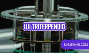 Uji Terpenoid