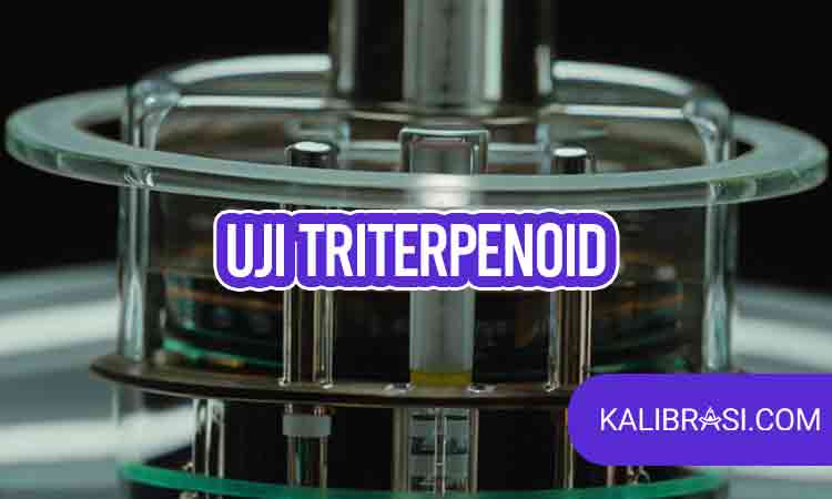 Uji Terpenoid