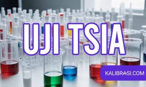 uji tsia