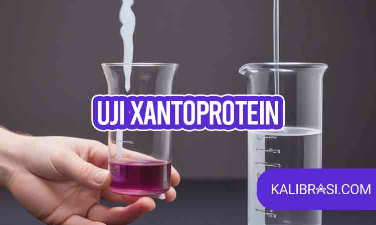 Uji Xantoprotein
