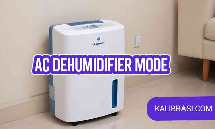ac dehumidifier mode