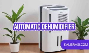 automatic dehumidifier