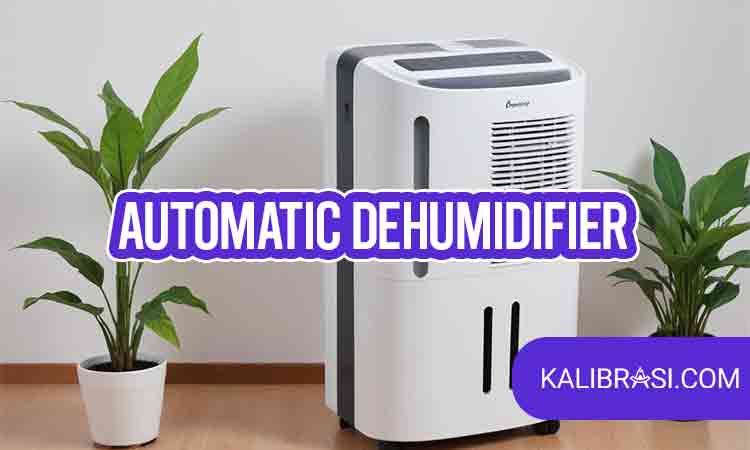 automatic dehumidifier
