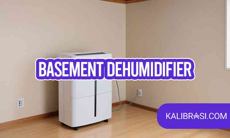 basement dehumidifier