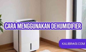 cara menggunakan dehumidifier